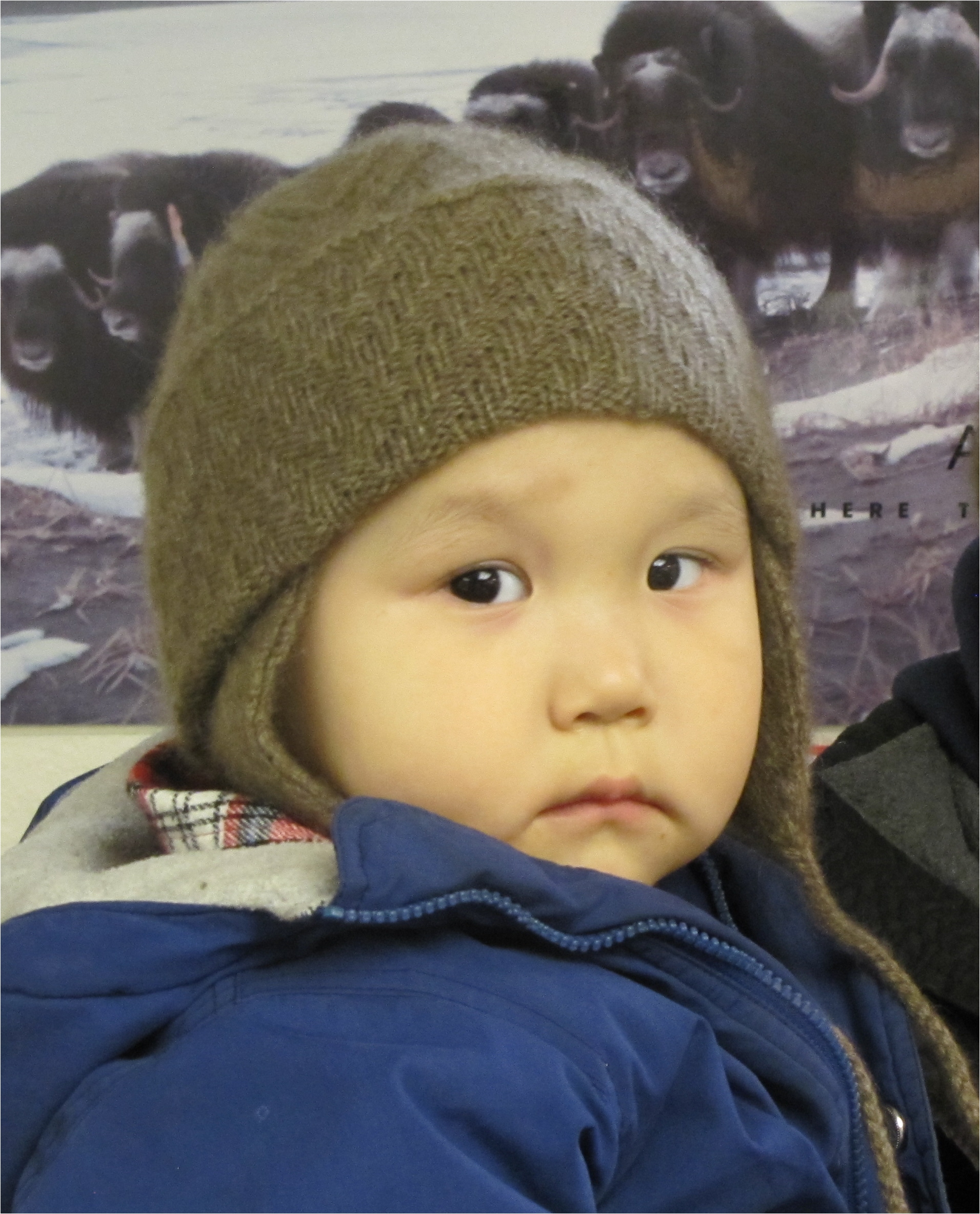 Toddler Cap (click to enlarge)
